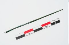 Foto von Bronzenähnadel (NHMW-PRAE-024263)